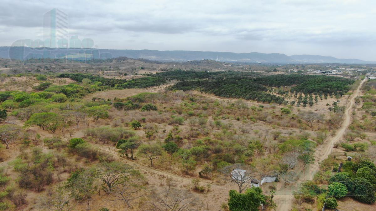 VENTA DE MACROLOTE CON LOTIZACIÓN APROBADA  KM 20.5 VIA A LA COSTA