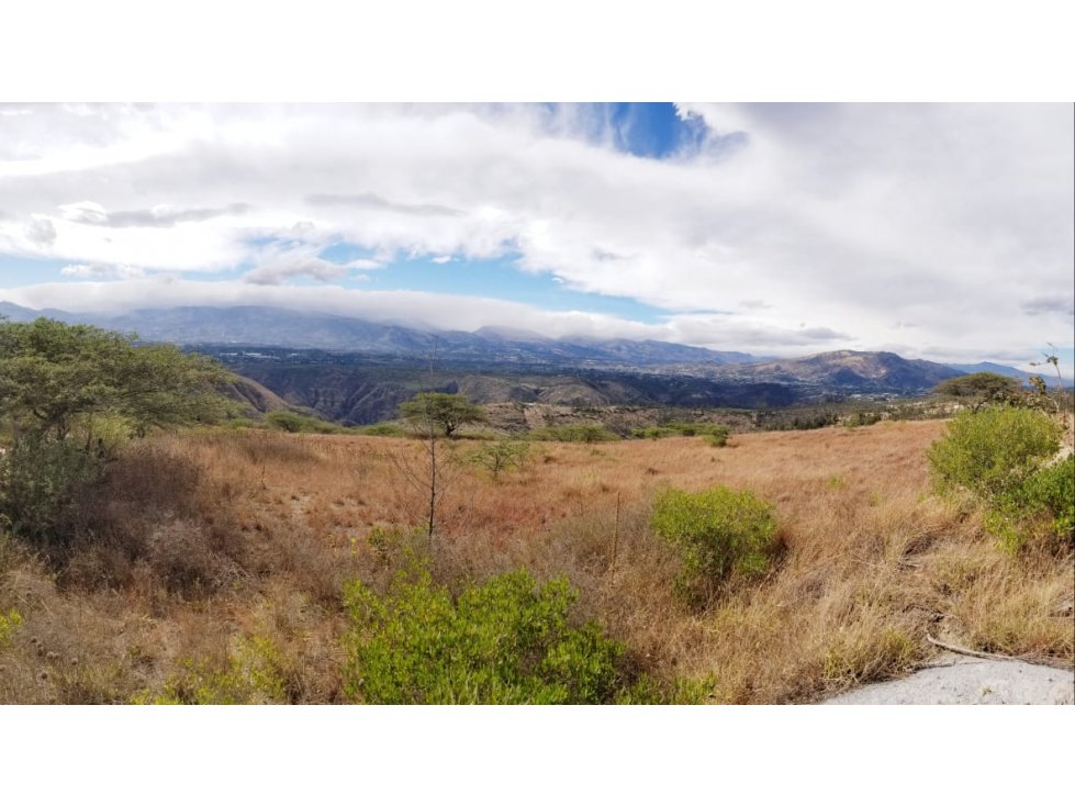 Venta terreno 14 hectareas a Gualo - Cocotog a $16 el M2