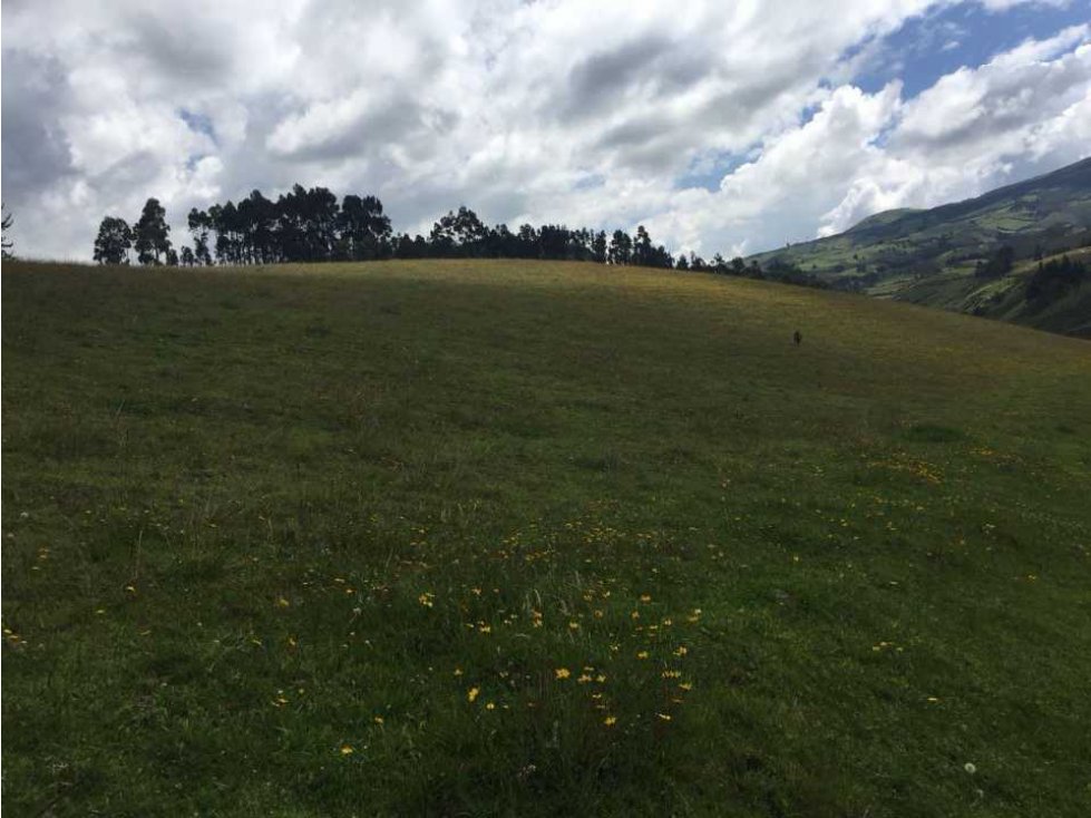 Vendo terreno de 28000m2 en Otavalo